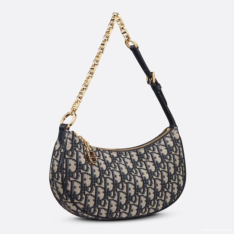 Cheap CD Blue Oblique Lounge Motif Dior Bag Canvas 0814 Luxury